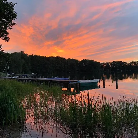 Seeblick Am Dümmer See, Dümmer Dummer